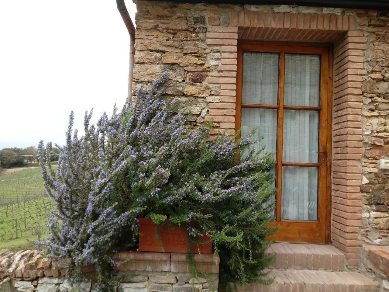 Agriturismo Villa Buoninsegna Rapolano Terme Exterior foto